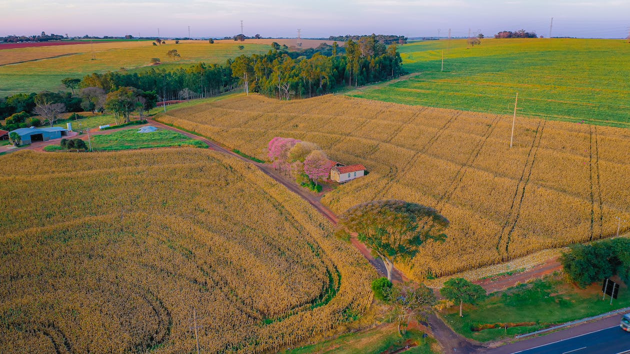 How to Buy Land for Cash in Oregon